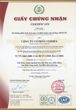 giay-cong-nhan-chung-nhan-iso-vinacontrol-ce-min (1)